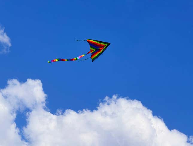 Image for article titled ‘Kite,’ Report 340 Million Americans Pointing At Sky