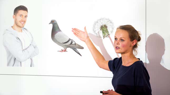 Image for article titled Conservationists Confirm Only Remaining Species Are Humans, Pigeons, Dandelions