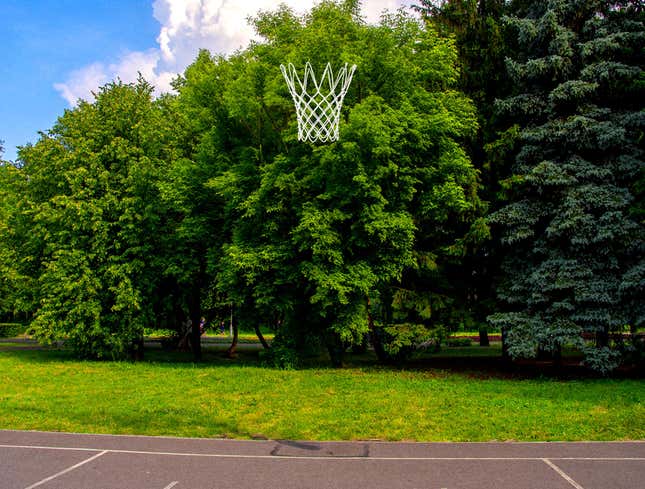 Image for article titled Public Basketball Hoop Missing Everything But The Net