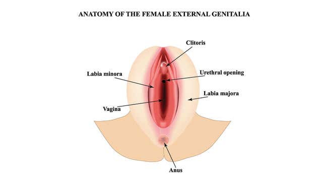 Image for article titled Quiz: Do You Know How To Please A Woman Sexually?